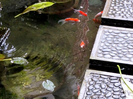 252. Bali, Indonesia