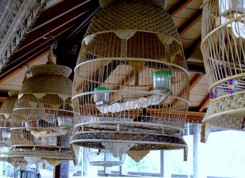 253. Bali, Indonesia