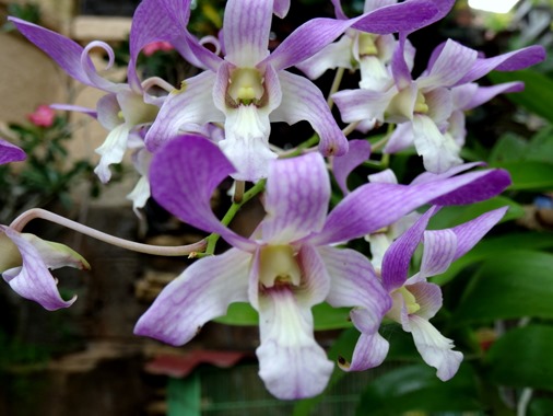 277. Bali, Indonesia