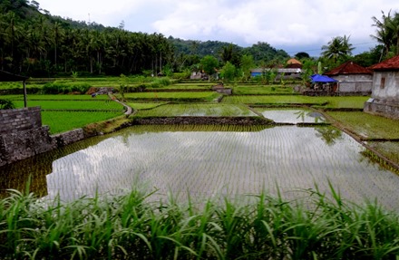 296. Bali, Indonesia