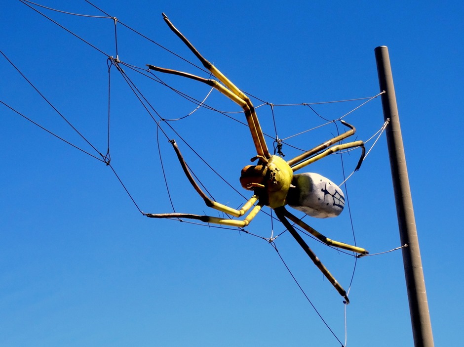 3. At Sea Toward Townsville, Australia
