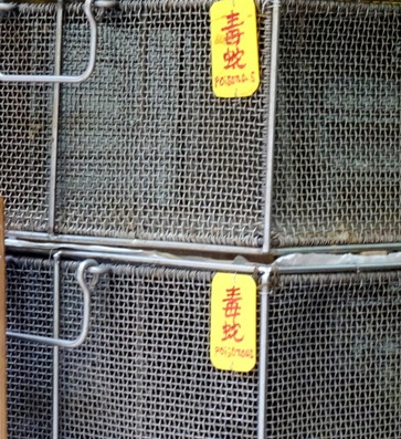 31. Hong Kong, China (Day 2)