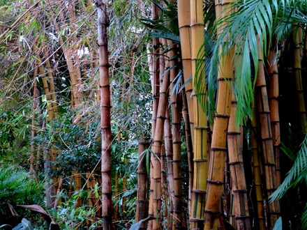 39. Hong Kong, China (Day 3)