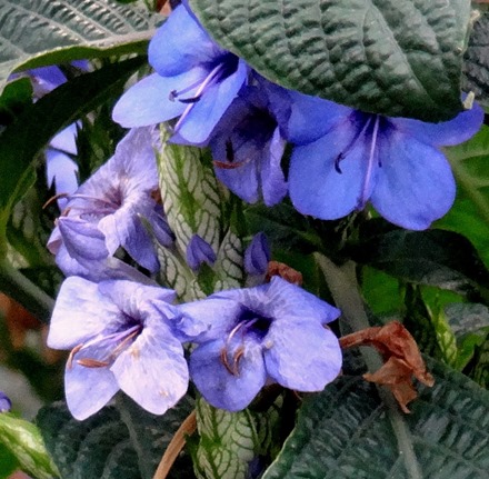 44. Hong Kong, China (Day 3)