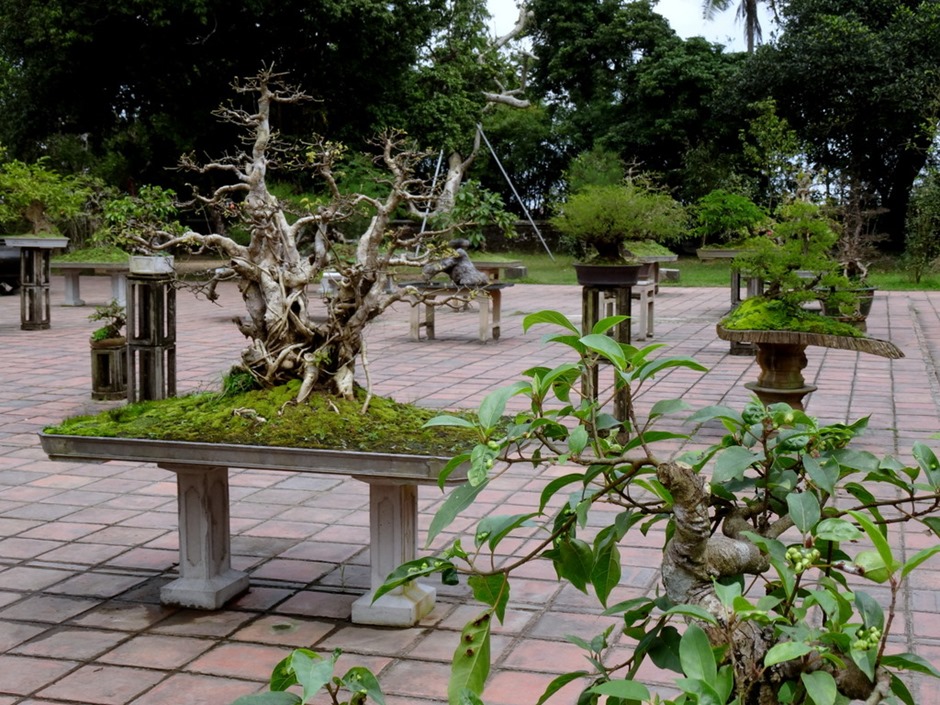 48. Danang (Hue), Vietnam (Day 1)