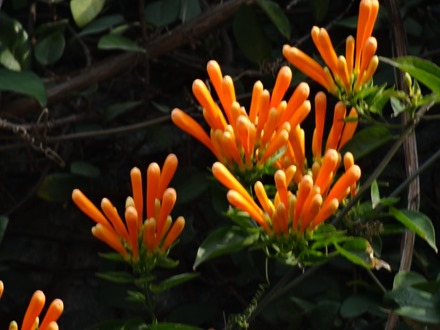 50. Hong Kong, China (Day 3)