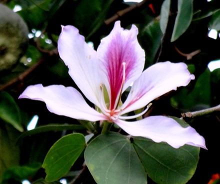 52. Hong Kong, China (Day 3)