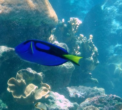 53. At Sea Toward Townsville, Australia