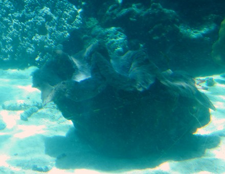 58. At Sea Toward Townsville, Australia