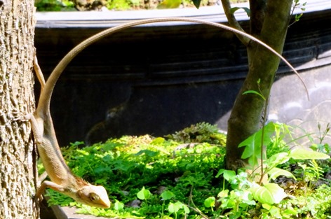 61. Danang (Hue), Vietnam (Day 1)