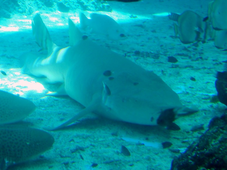 7. At Sea Toward Townsville, Australia