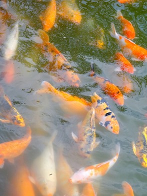 70. Danang (Hue), Vietnam (Day 1)