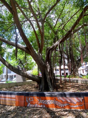 77. Darwin, Australia