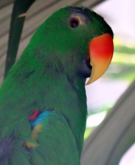 81. Cairns, Australia