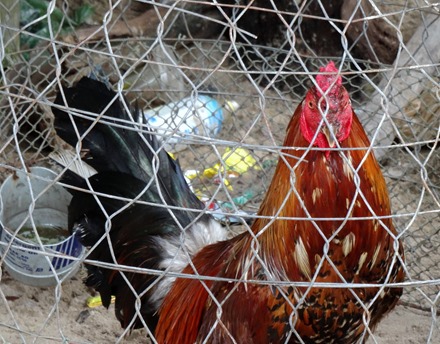 122. Sihanoukville, Cambodia