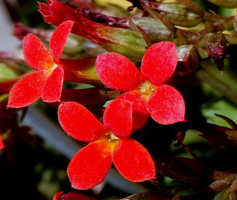 133. Danang (Hoi An), Vietnam (Day 2)