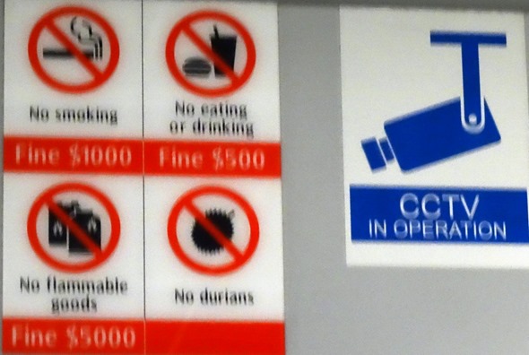 140. Singapore (Day 2)