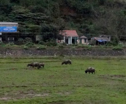 148. Danang (Hue), Vietnam (Day 1)