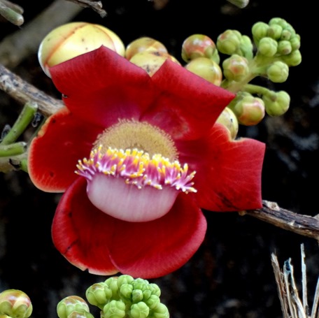 181. Sihanoukville, Cambodia