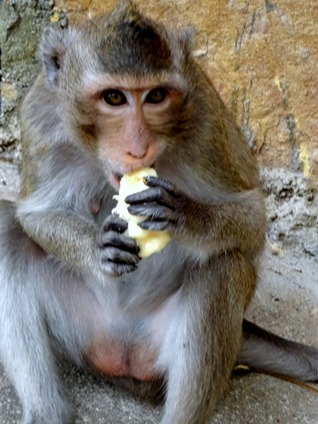 201. Sihanoukville, Cambodia