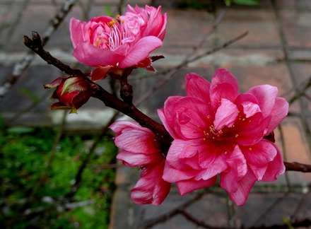 47. Danang (Hue), Vietnam (Day 1)