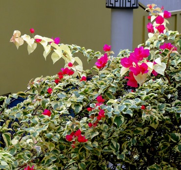 76. Singapore (Day 3)