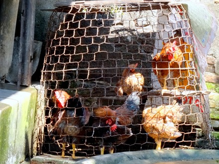 87. Danang (Hoi An), Vietnam (Day 2)