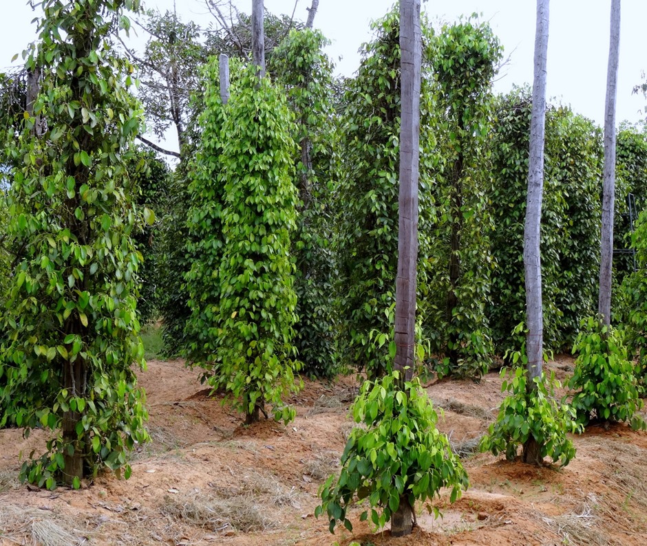 88. Sihanoukville, Cambodia