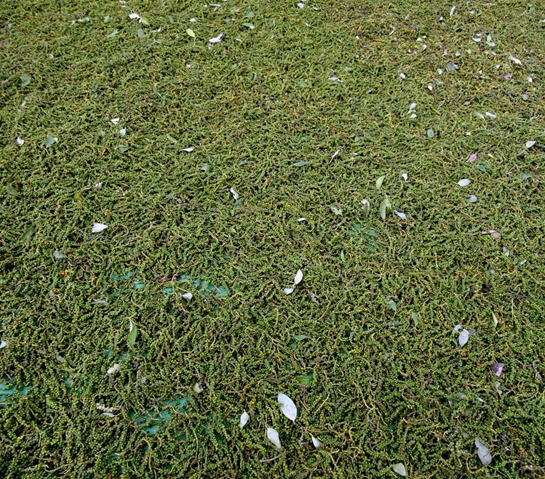 89. Sihanoukville, Cambodia