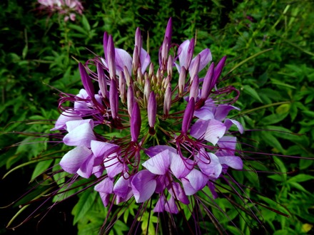 95. Danang (Hue), Vietnam (Day 1)