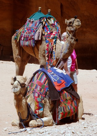 105. al-Aqaba, Jordan (Petra & Wadi Rum)