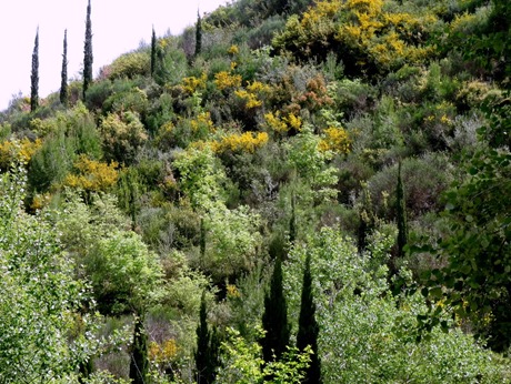 108. Katakalon, Greece (Olympus)DSC00942