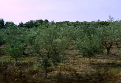 11. Katakalon, Greece (Olympus)DSC00849