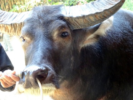 12. Phuket, Thailand