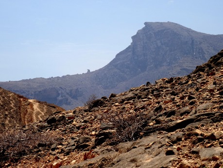 120. Salalah, Oman