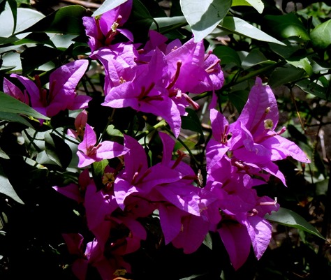 151. Hambantota, Sri Lanka