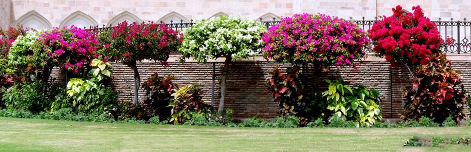 152b. Muscat, Oman_stitch