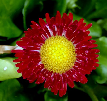 174. Katakalon, Greece (Olympus)DSC01008