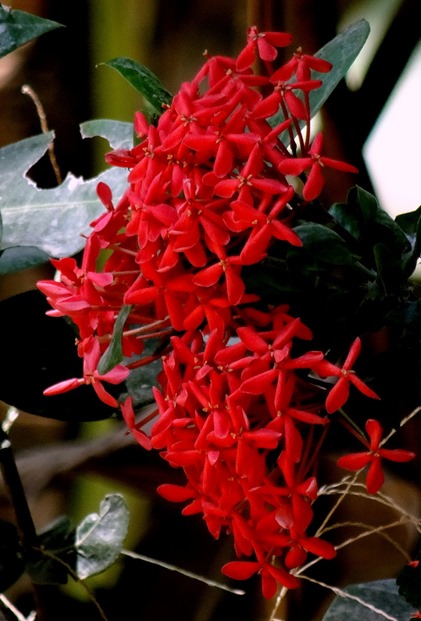 178. Phuket, Thailand