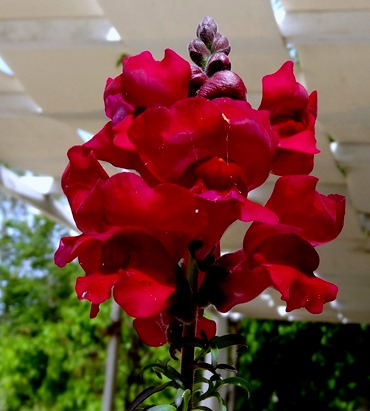 180. Katakalon, Greece (Olympus)DSC02708