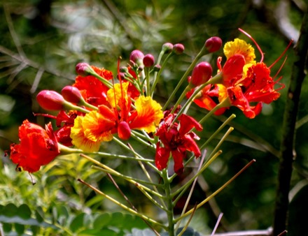 185. Phuket, Thailand