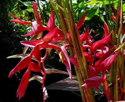 188. Phuket, Thailand