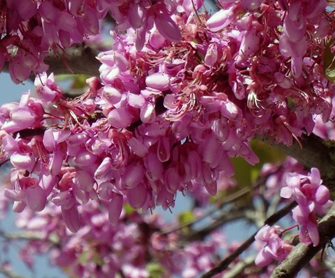 20. Katakalon, Greece (Olympus)DSC00858