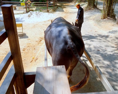 21. Phuket, Thailand