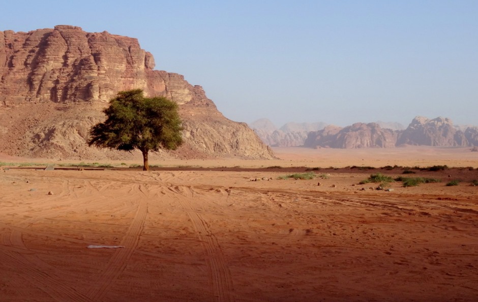 216. al-Aqaba, Jordan (Petra & Wadi Rum)