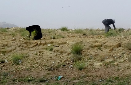 38. al-Aqaba, Jordan (Petra & Wadi Rum)