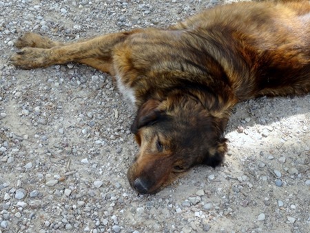 64. Katakalon, Greece (Olympus)DSC00902