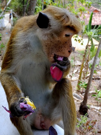 67. Hambantota, Sri Lanka