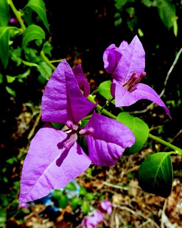 77. Hambantota, Sri Lanka