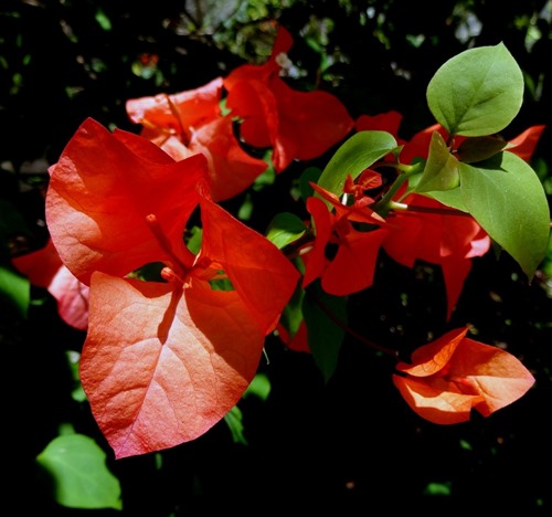 78. Hambantota, Sri Lanka